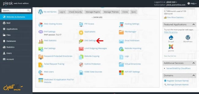 رفتن به تنظیمات DNS کنترل پنل پلسک