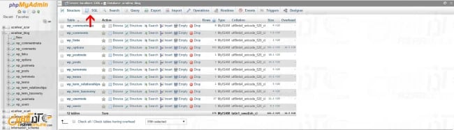 رفتن به بخش SQL در پایگاه داده وردپرس