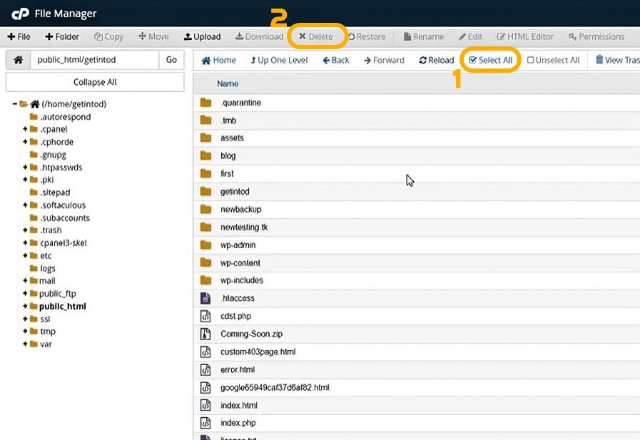 حذف وردپرس در کنترل پنل cPanel