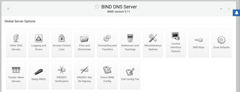 BIND DNS