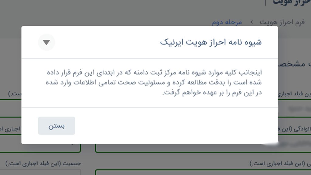 خلاصه متن شیوه نامه ایرنیک