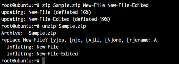   دستور unzip