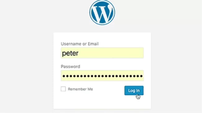 login-redirect-issue