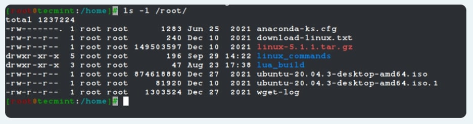 دایرکتوری root/