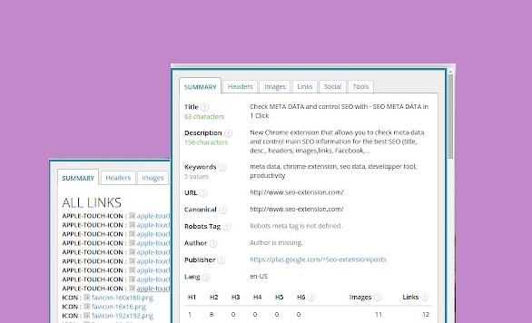 اکستنشن Keyword Surfer