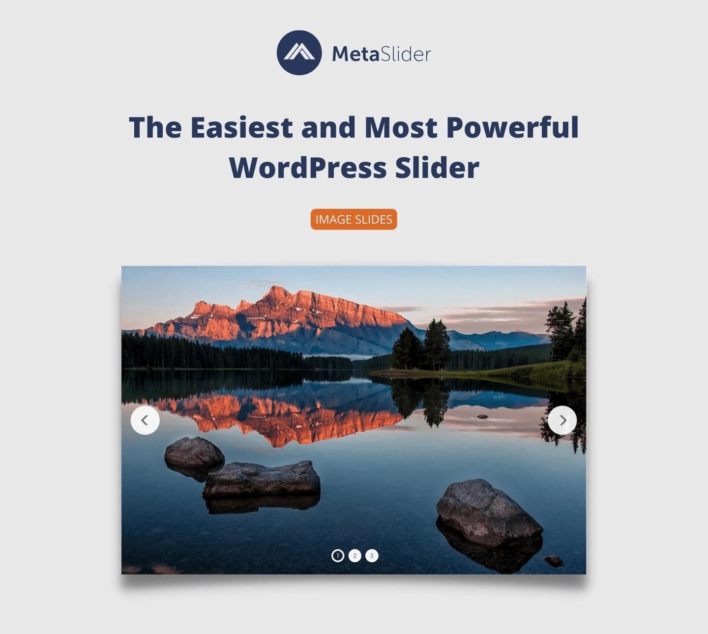 افزونه MetaSlider