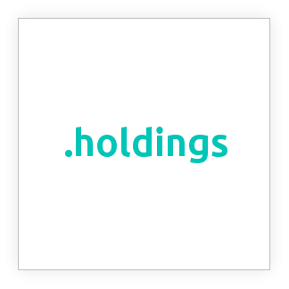 ثبت دامنه .holdings, خرید دامنه .holdings, دامنه .holdings