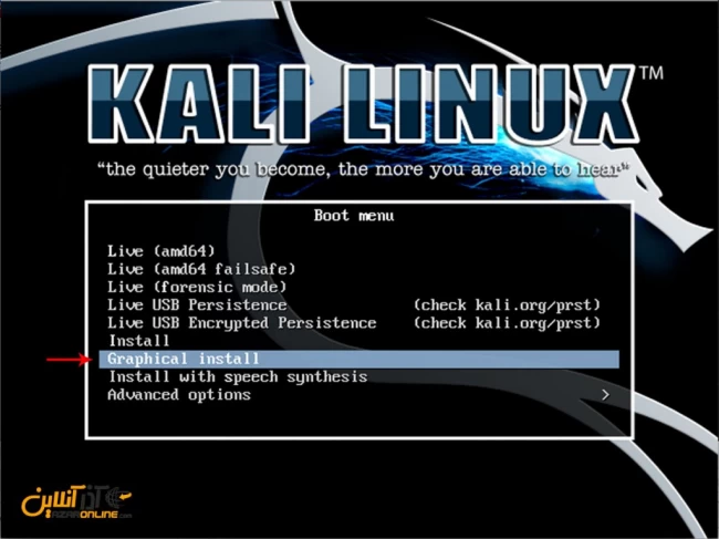 نصب لینوکس Kali - انتخاب نحوه نصب
