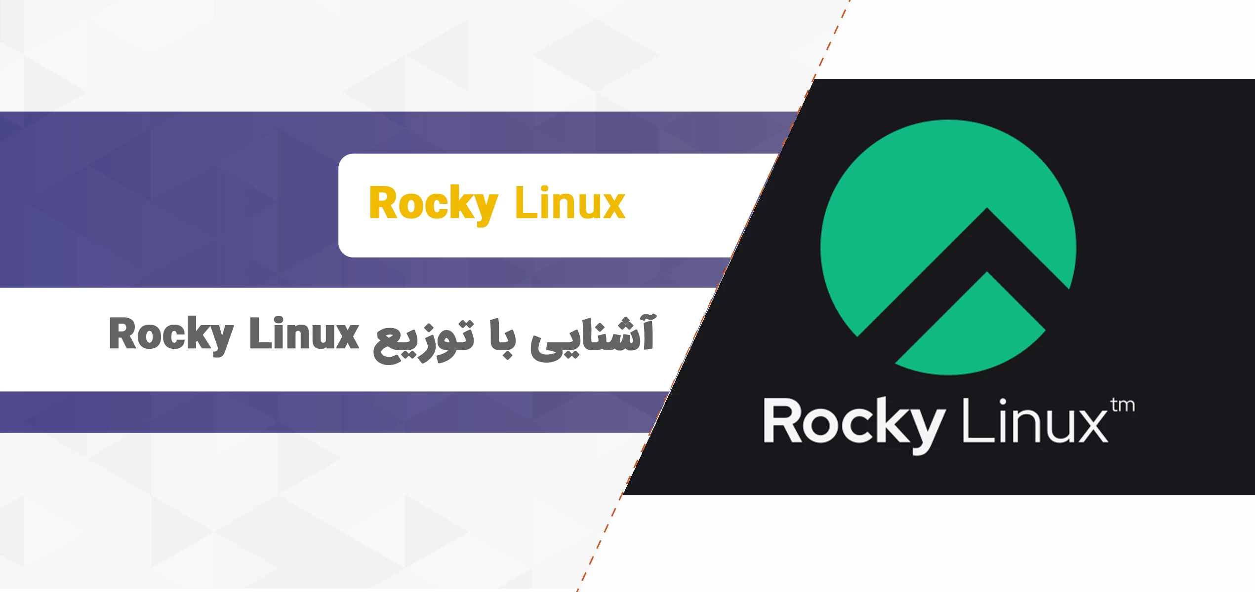 Rocky Linux چیست؟ آشنایی کامل با توزیع Rocky Linux