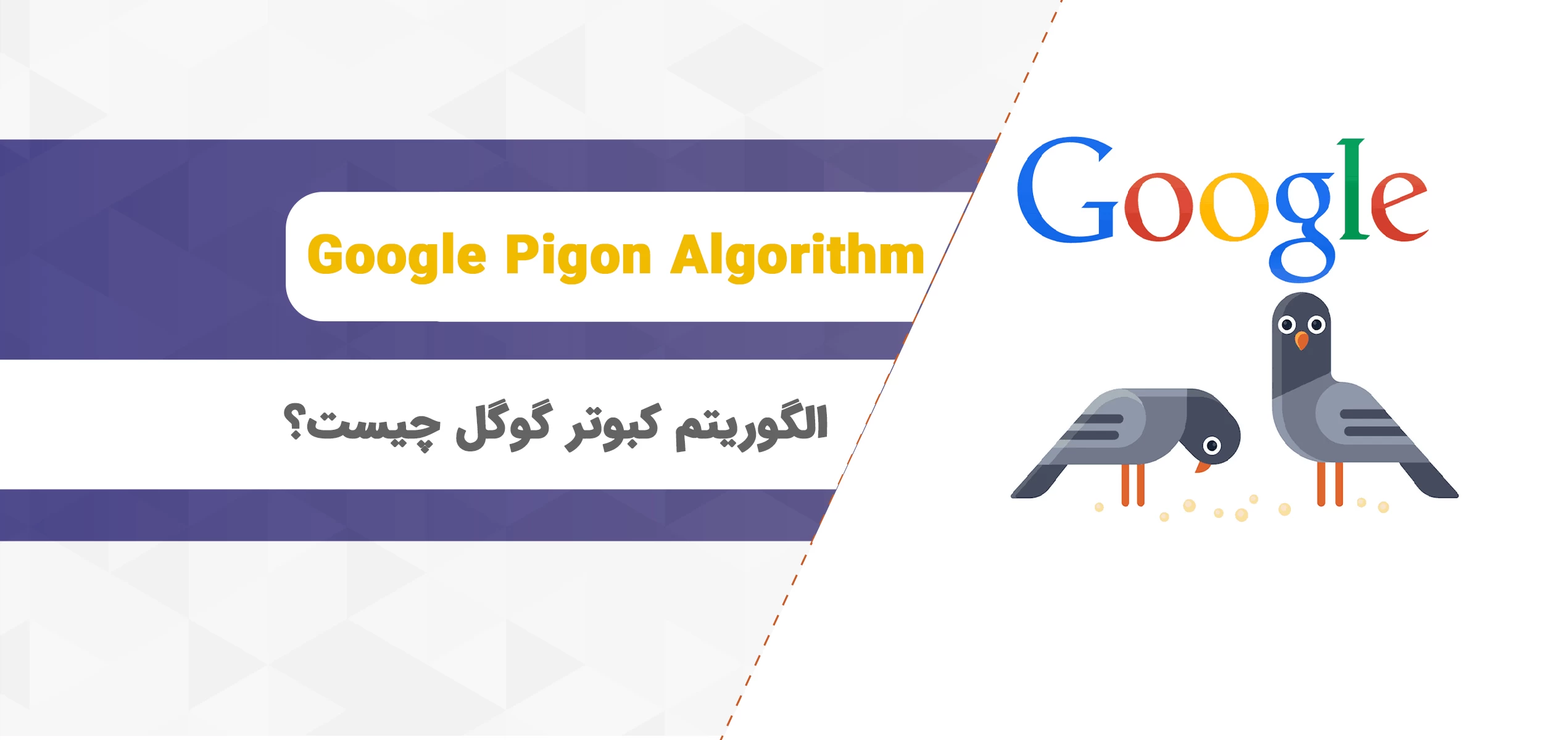 الگوریتم کبوتر گوگل چیست؟ راهکار جدید گوگل برای نتایج بهتر جستجو